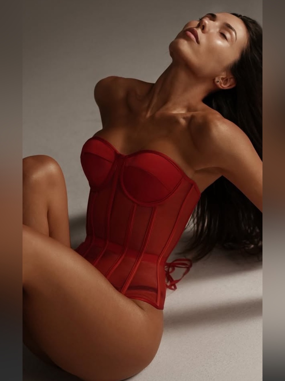 La Perla ♥️Sheer Red Mesh Corset Top with Garter Straps